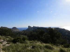 IMG_0155 (Medium)